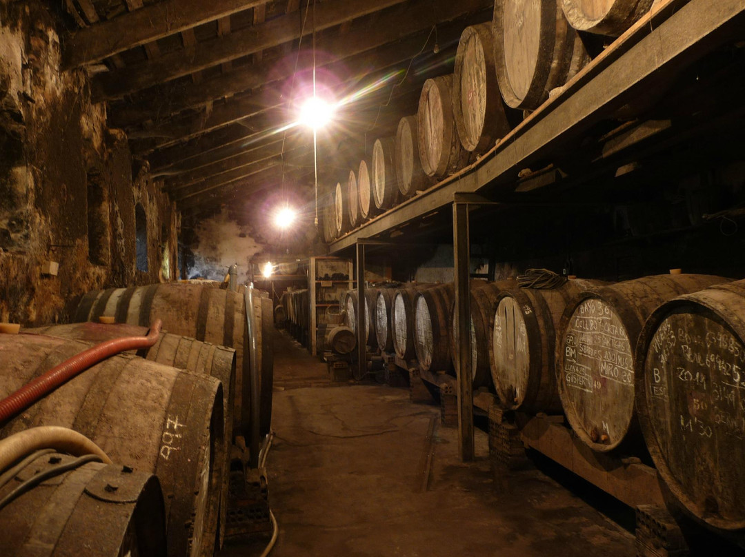 Mas Molla Des de 1338-Calonge必去景点