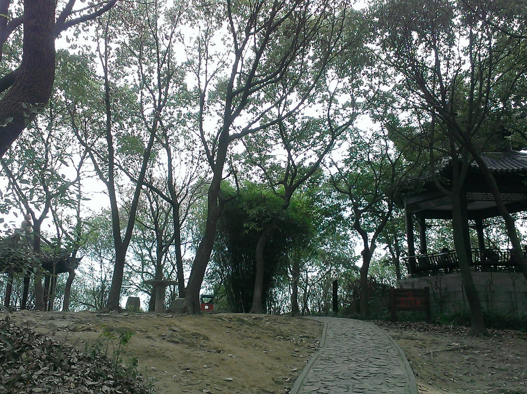 佘山森林公园-上海市必去景点