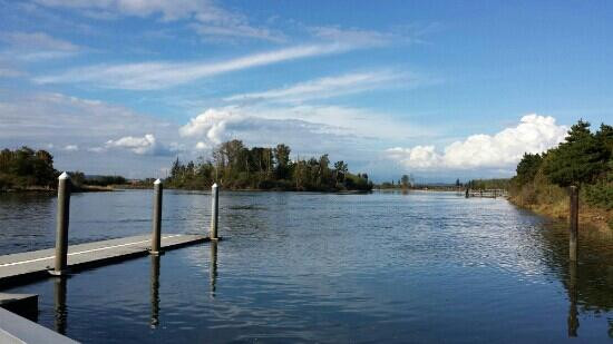 Spencer Island Park景点图片
