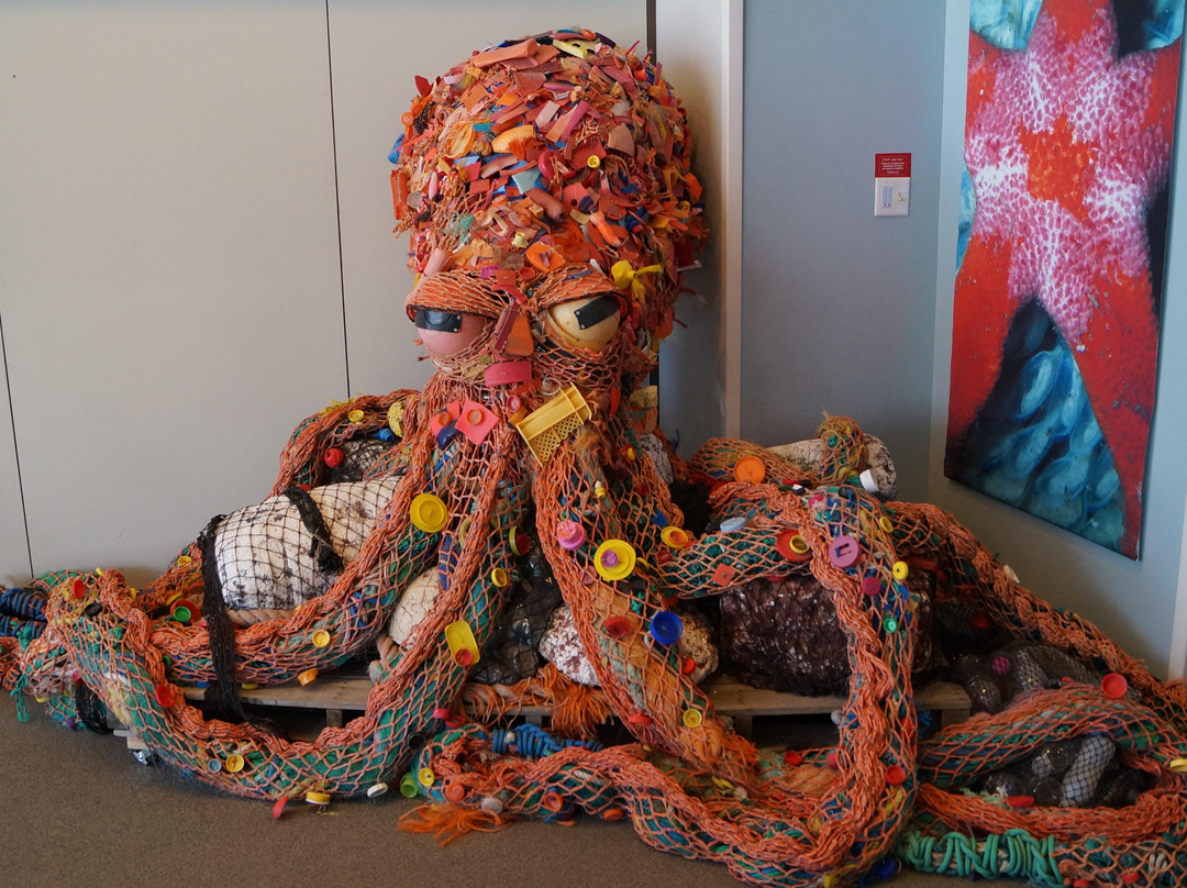 阿拉斯加海洋生物中心-苏厄德必去景点