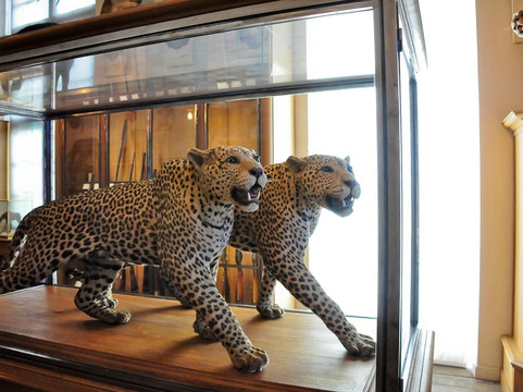 狩猎博物馆-巴黎必去景点