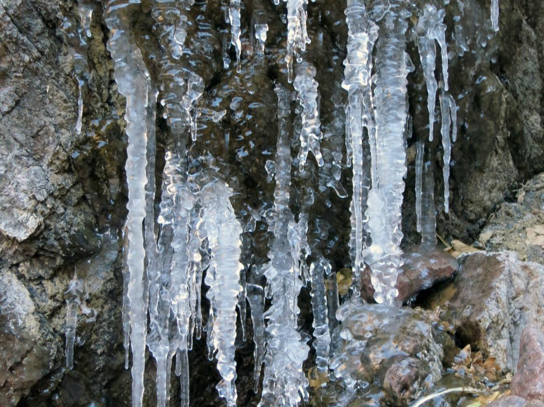 Soledad Canyon Day Use Area-拉斯克鲁塞斯必去景点