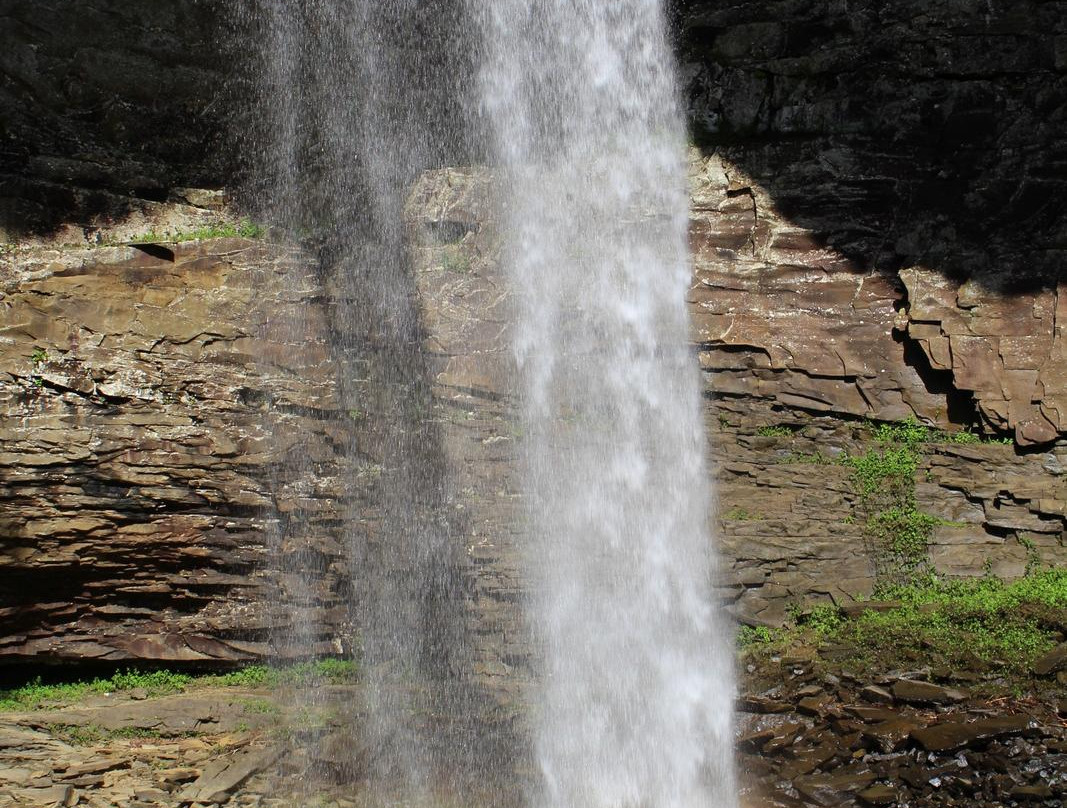 Ozone Falls State Natural Area-Crab Orchard必去景点