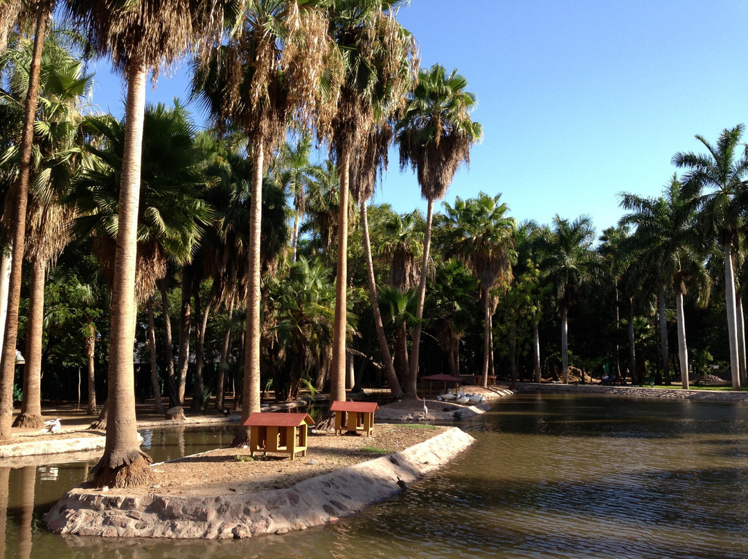 Jardín Botánico Benjamin Francis Johnston-Los Mochis必去景点