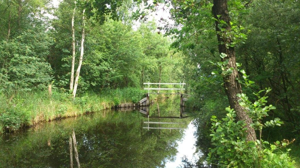 De Weerribben National Park-Overijssel Province必去景点