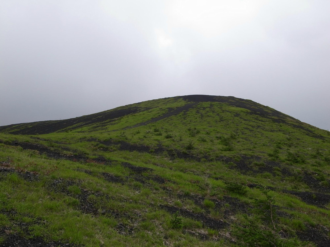 Mount Futago景点图片