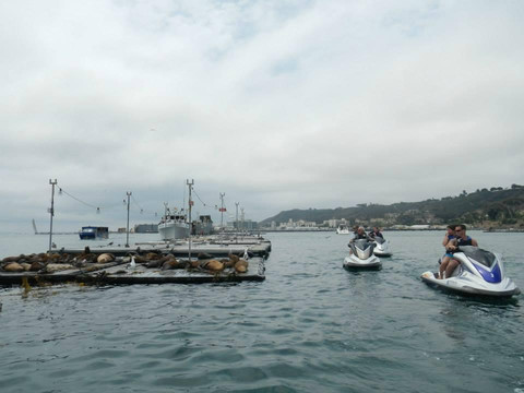 San Diego Bay Adventures-圣地亚哥必去景点