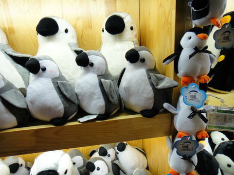 海昌极地海洋世界-天津市必去景点