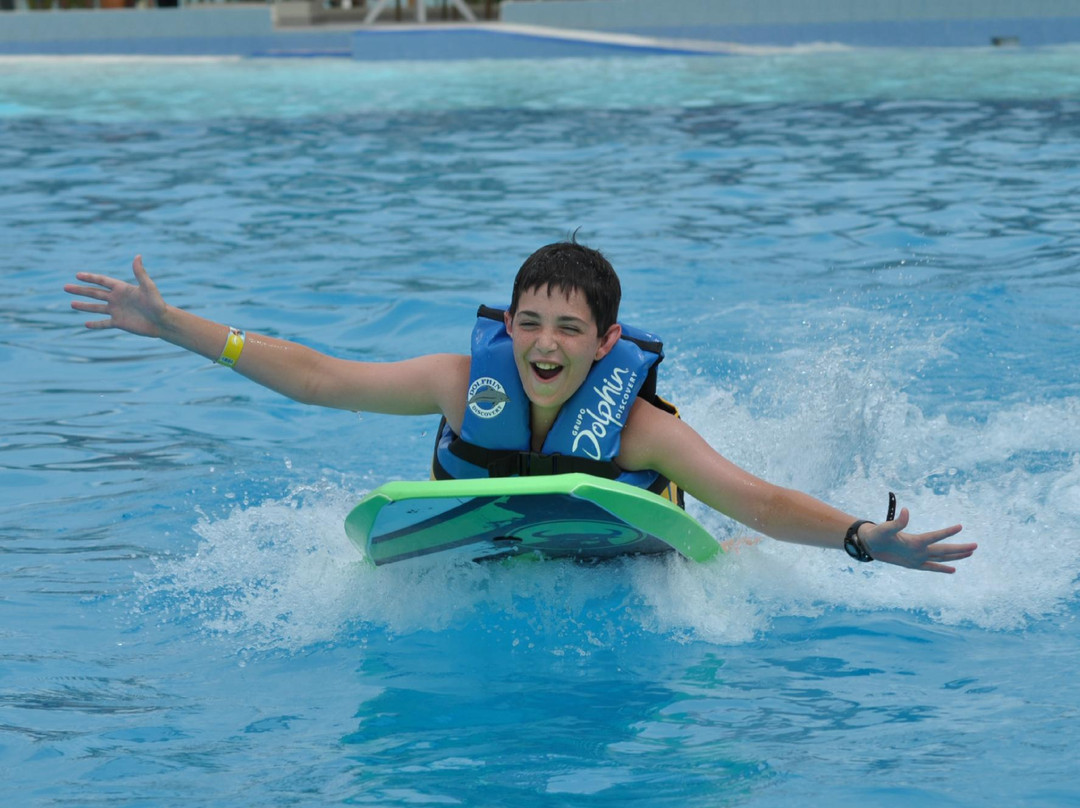 Dolphin Discovery Playa Del Carmen景点图片
