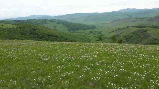 坝上红山军马场-围场县必去景点