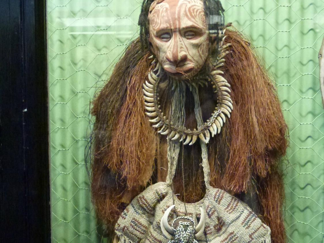 南澳博物馆-阿德莱德必去景点