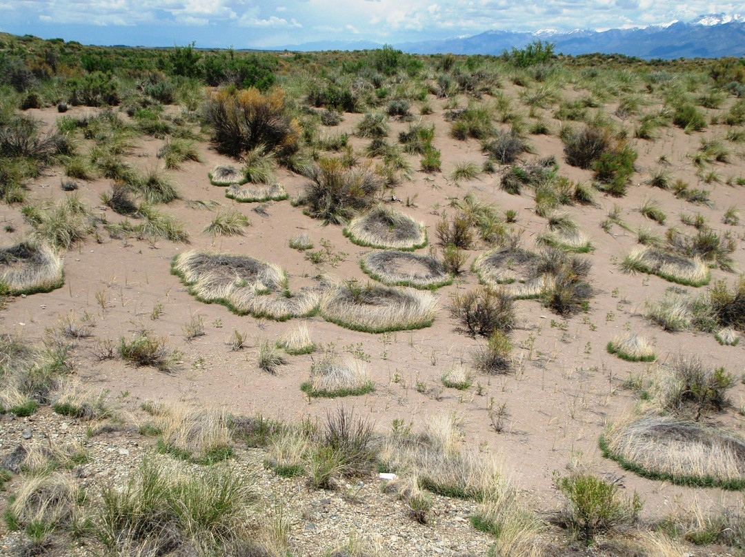 San Luis Lakes State Park-Mosca必去景点