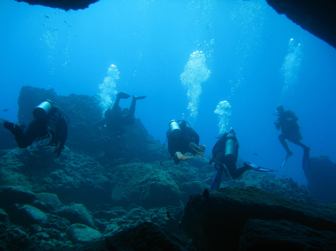 夏威夷岛潜水员-火奴鲁鲁必去景点