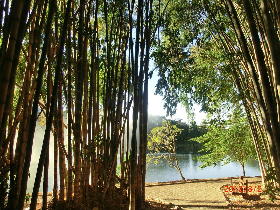 Areiao Park景点图片