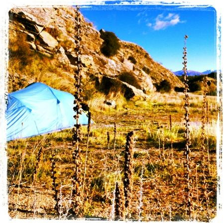 Otago Central Rail Trail-Central Otago必去景点