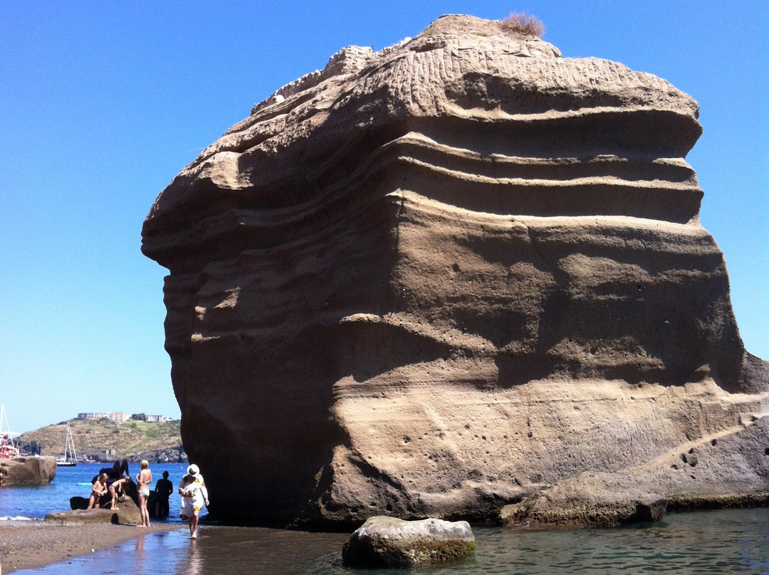 Ventotene Diving Academy景点图片