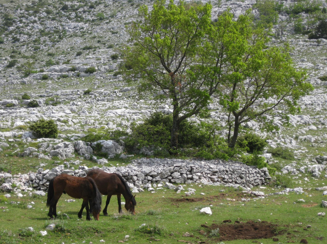 Nature Park Biokovo-玛卡沙必去景点