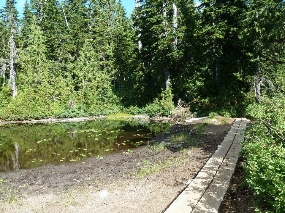 Cypress Provincial Park景点图片