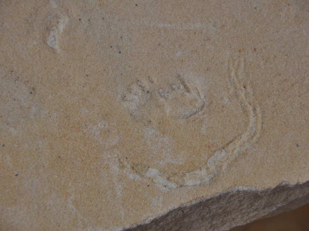 Tanner Trail-大峡谷国家公园必去景点