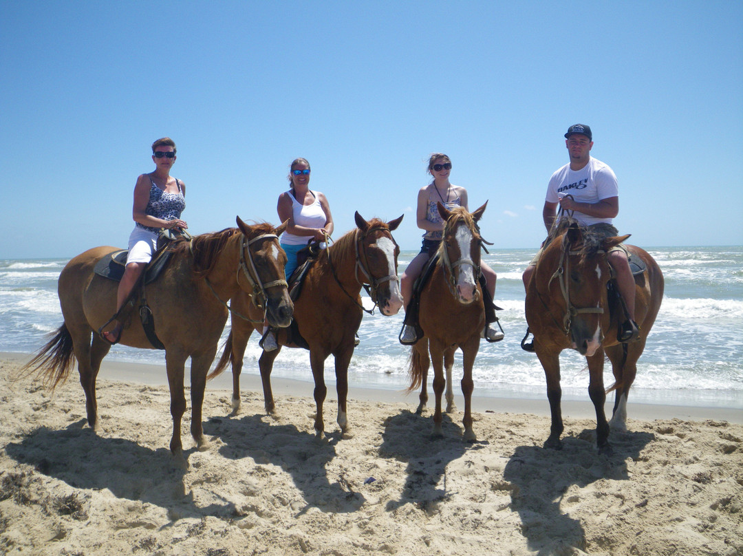 South Padre Island Adventure Park-南帕诸岛必去景点