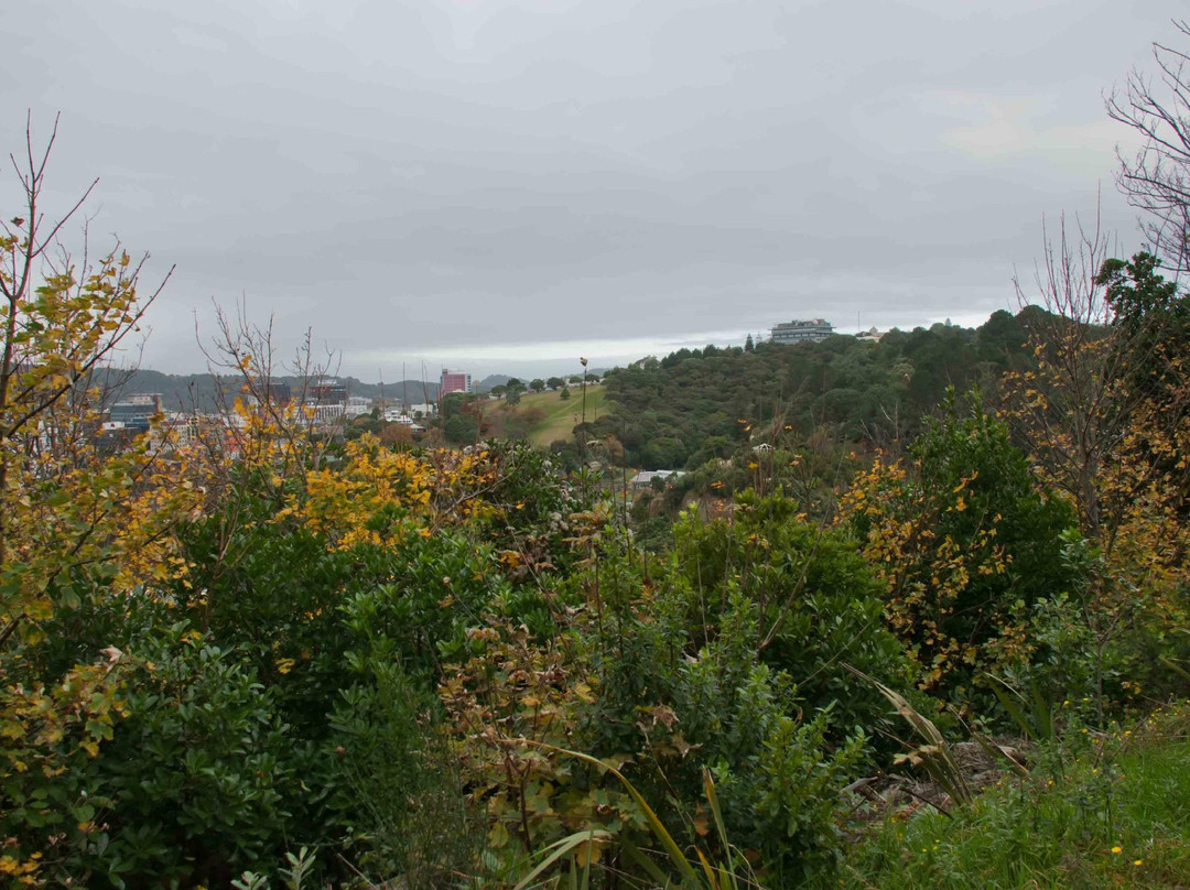 Tinakori Hill-惠灵顿必去景点