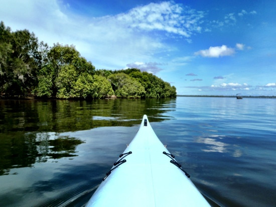 Blue Water Kayak Tours景点图片