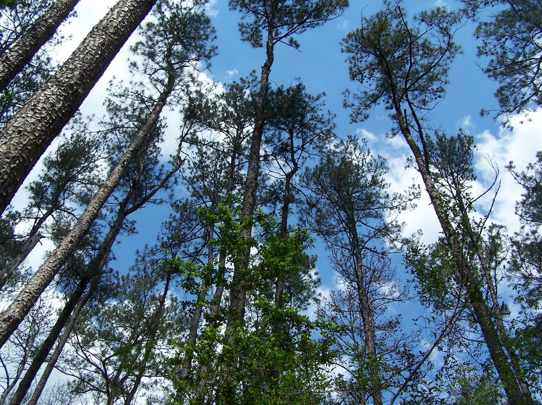 Lake Houston Wilderness Park-New Caney必去景点