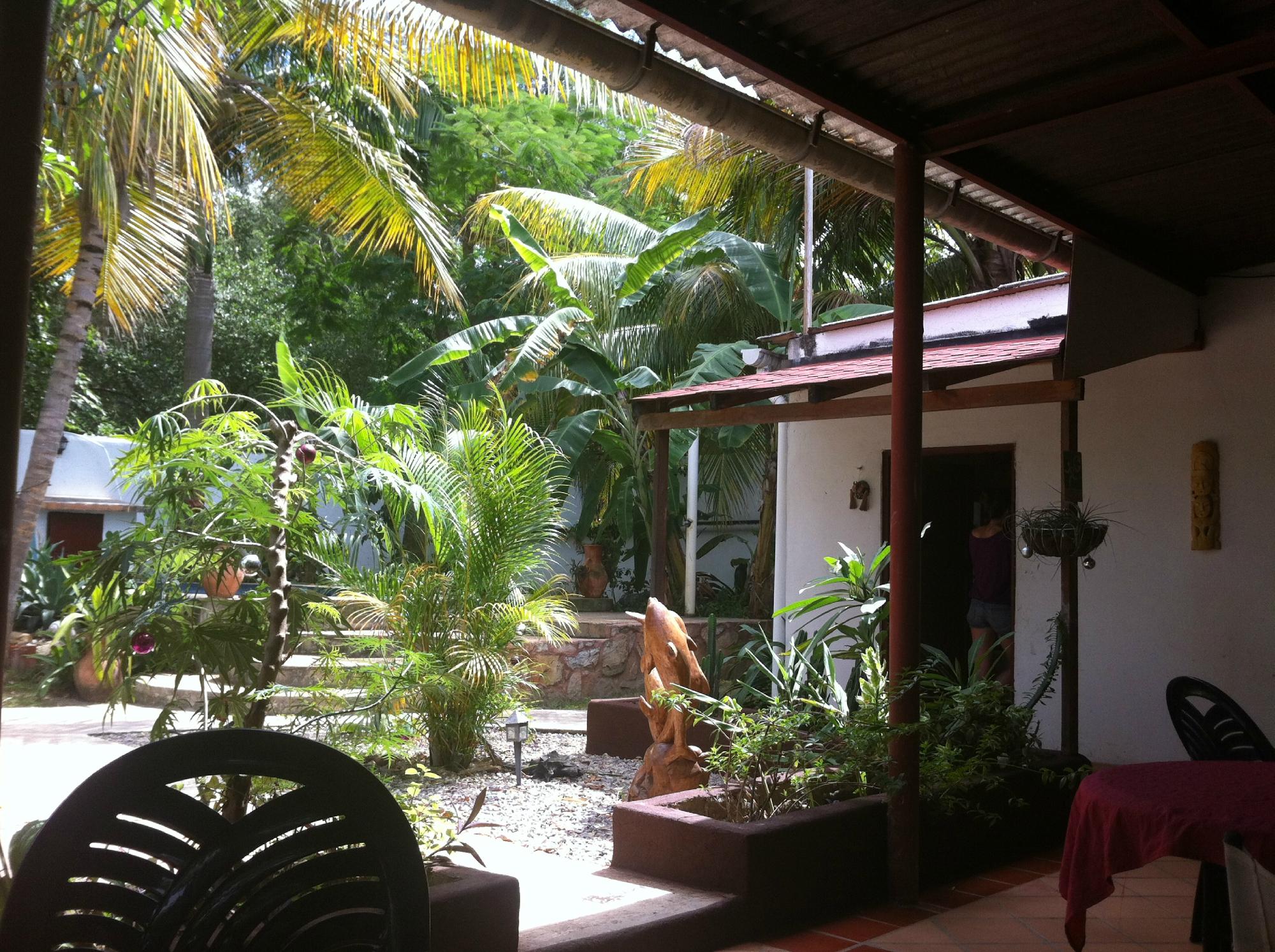 Le Petit Jardin-餐饮