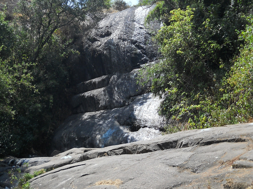 Bear Shola Falls景点图片