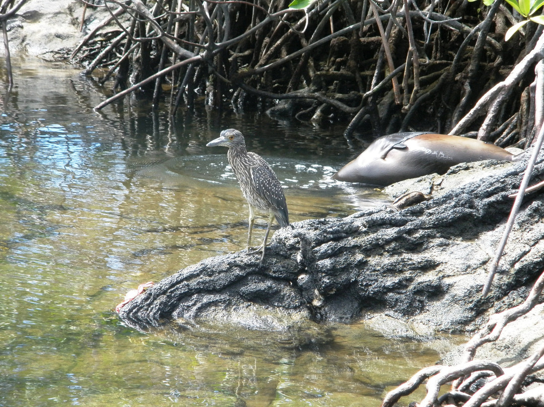 Parque Nacional Galapagos-加拉帕戈斯群岛必去景点