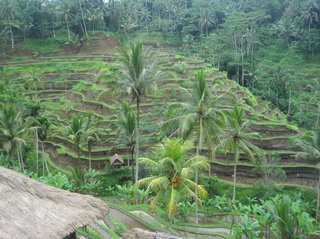 Bali Vacation Driver - Day Tours-登巴萨必去景点