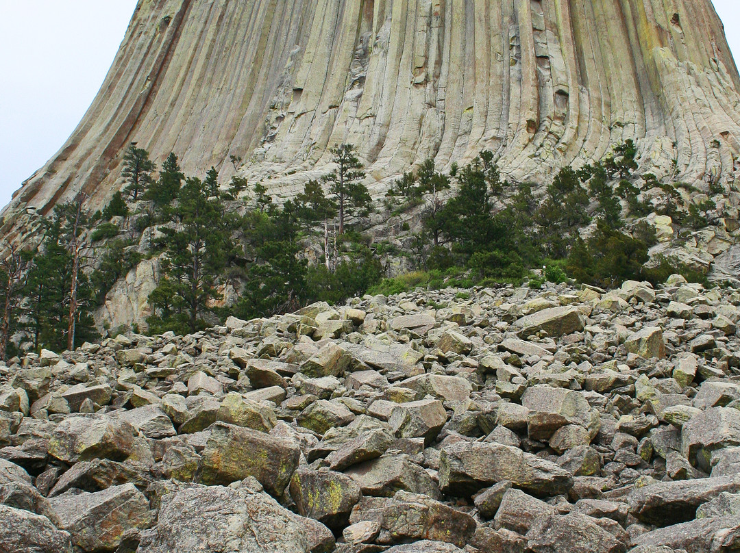 Devils Tower National Monument景点图片