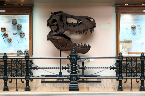 Museo Geominero-马德里必去景点