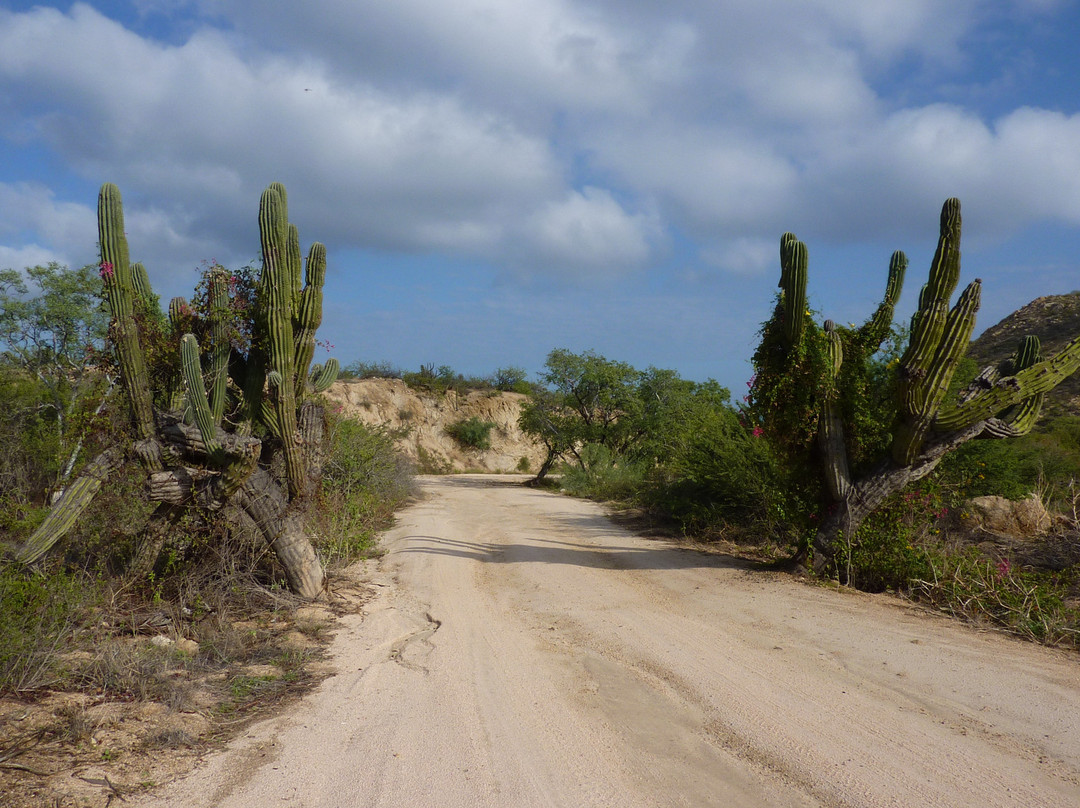 Playa Las Viudas景点图片