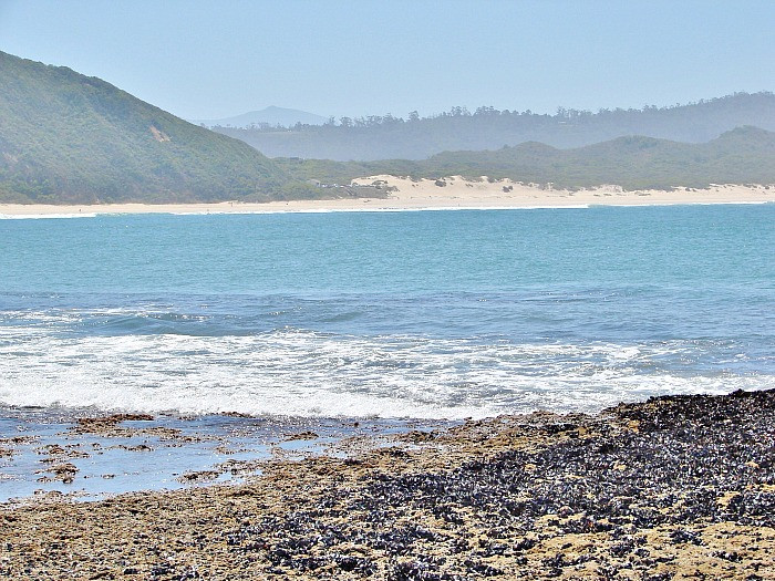 Gerickes Point-Sedgefield必去景点