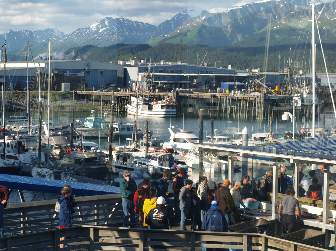 Seward Boat Harbor-苏厄德必去景点