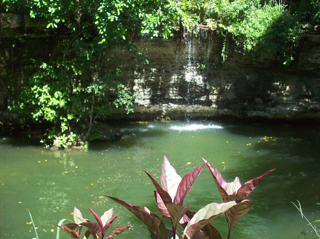 Rancho Bonanza景点图片