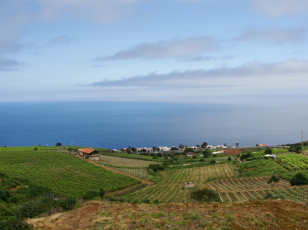 Bodegas Monje-El Sauzal必去景点