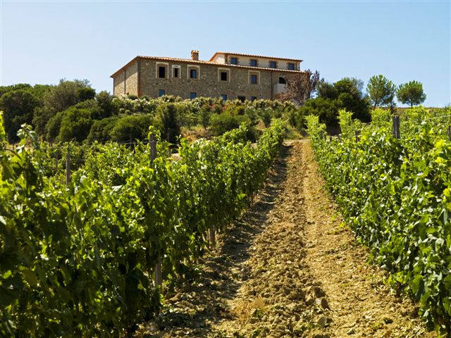 Poderi Firenze-官方