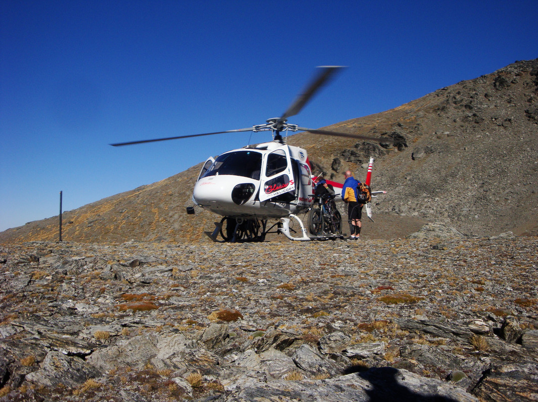 Vertigo Bikes-皇后镇必去景点