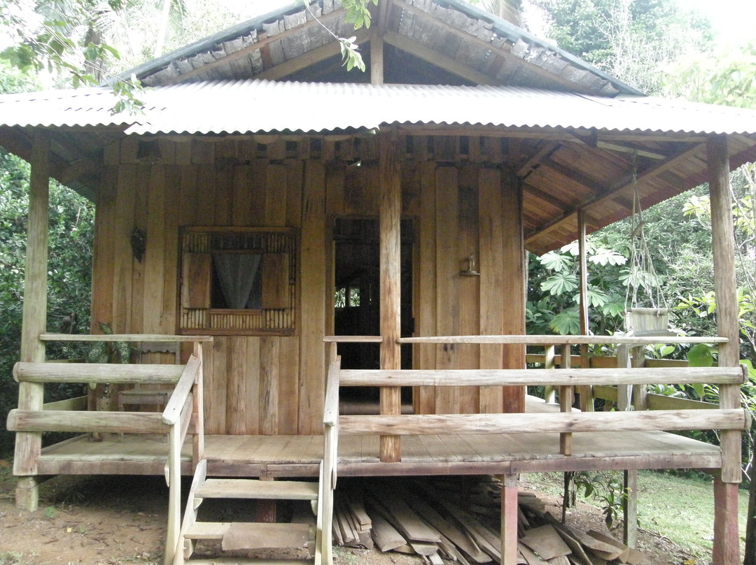 Finca Tayku