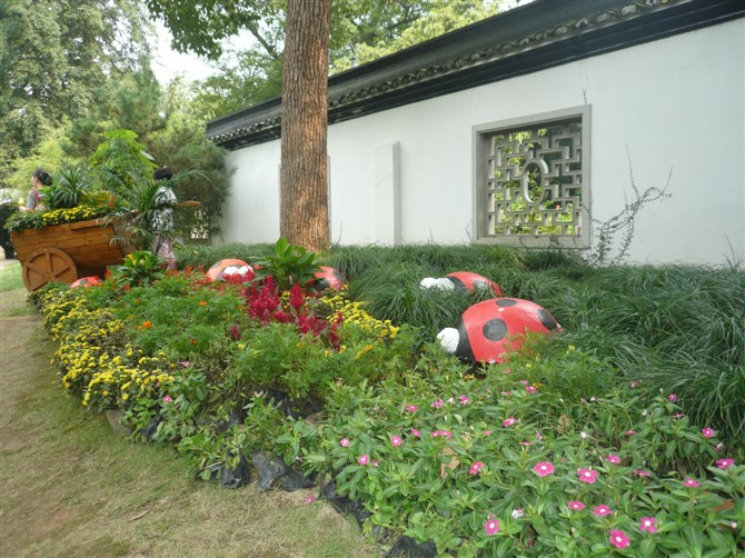 杭州植物园-杭州市必去景点
