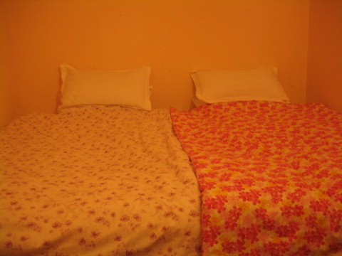 小花国际青年旅舍主图