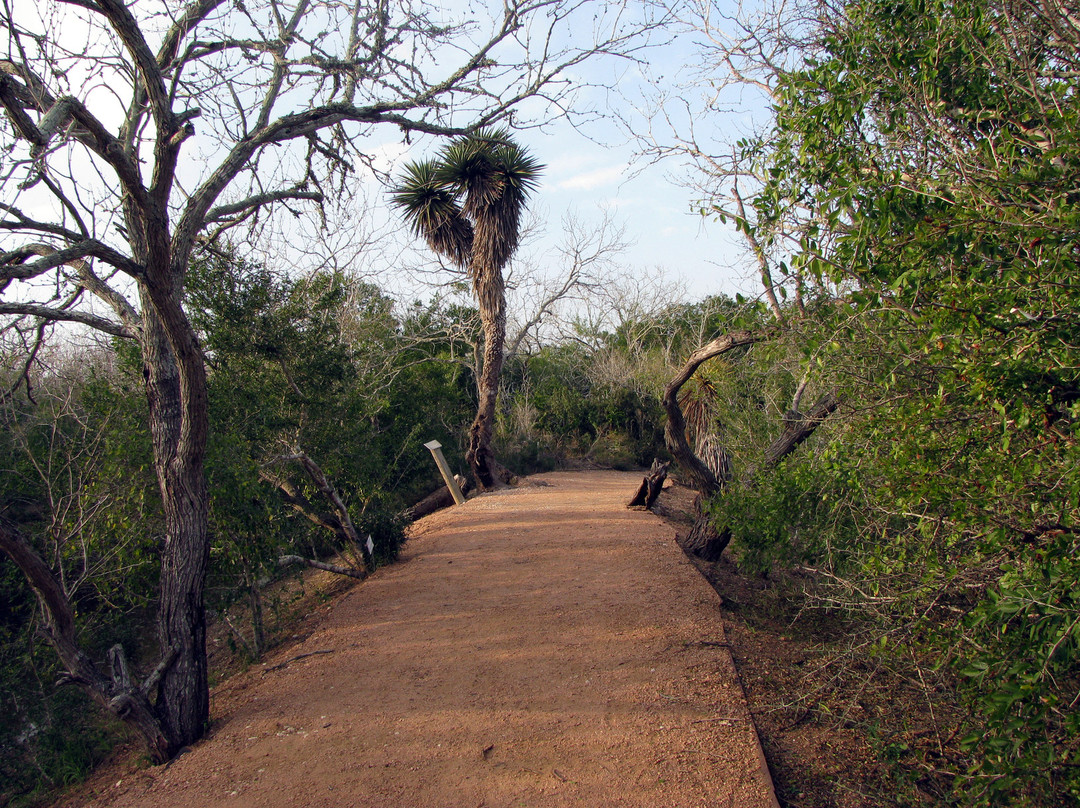 South Texas Botanical Gardens & Nature Center-科珀斯克里斯蒂市必去景点