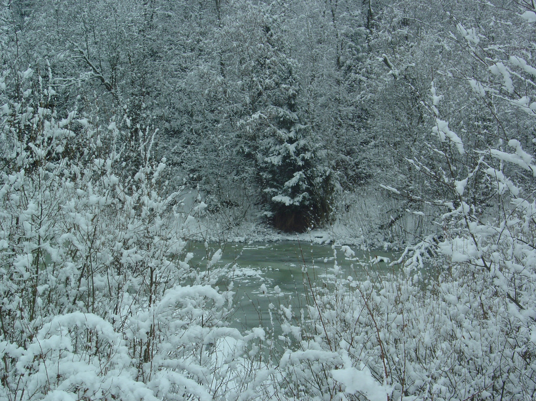 Berezina Biosphere Reserve-Domzharytsy必去景点