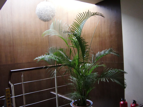 角楼商务宾馆主图