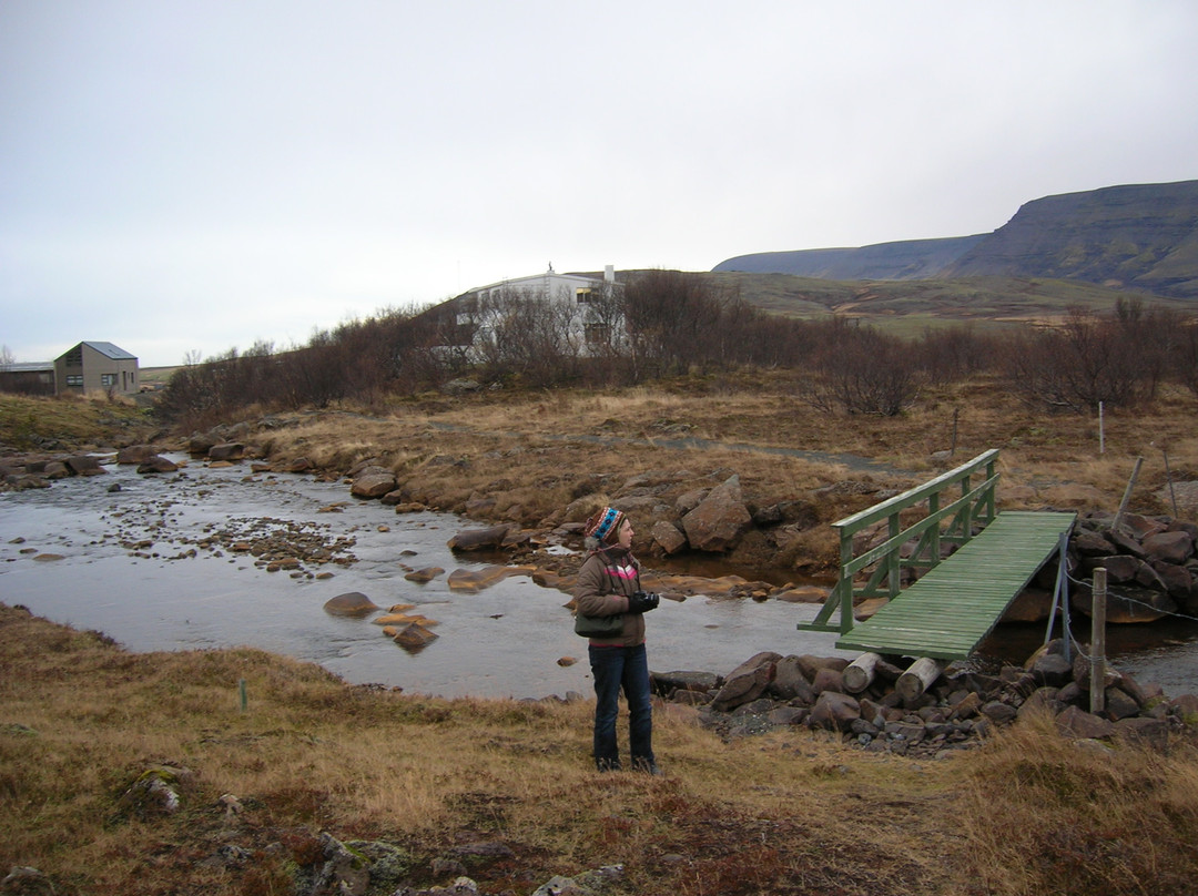 Gljufrasteinn - Laxness Museum景点图片