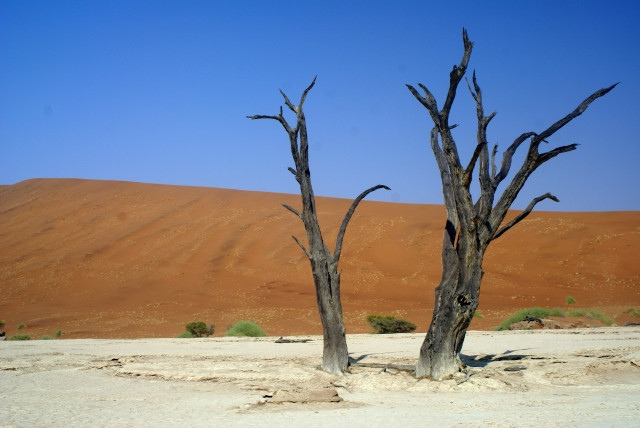 Namib Desert景点图片