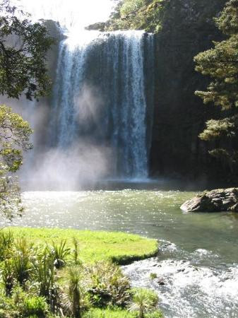 Whangarei Falls景点图片