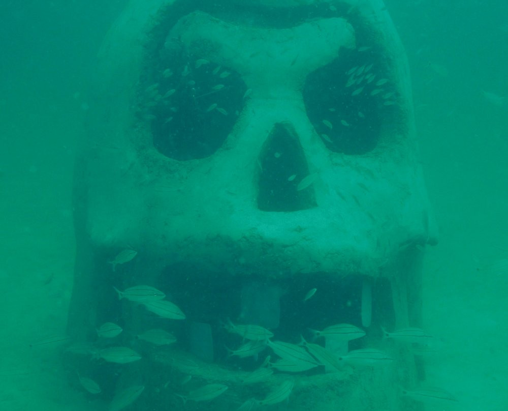 The Underwater Museum of Art景点图片